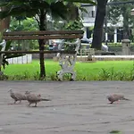 Sawana Suites